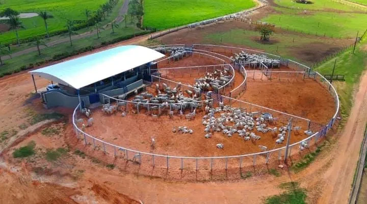 fazenda-caramuru-foto-22