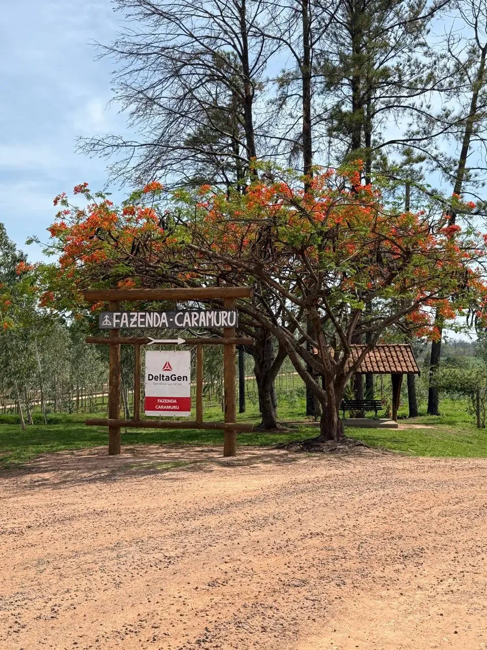fazenda-caramuru-foto-29