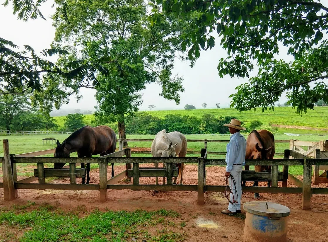 fazenda-caramuru-foto-43
